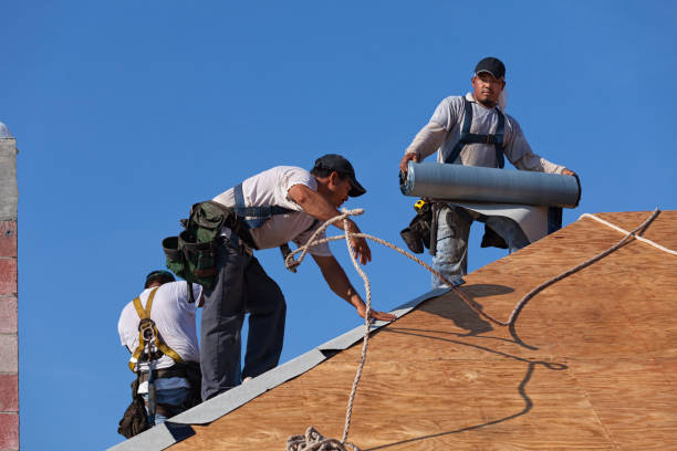 Best Local Roofing Companies  in Tioga, TX